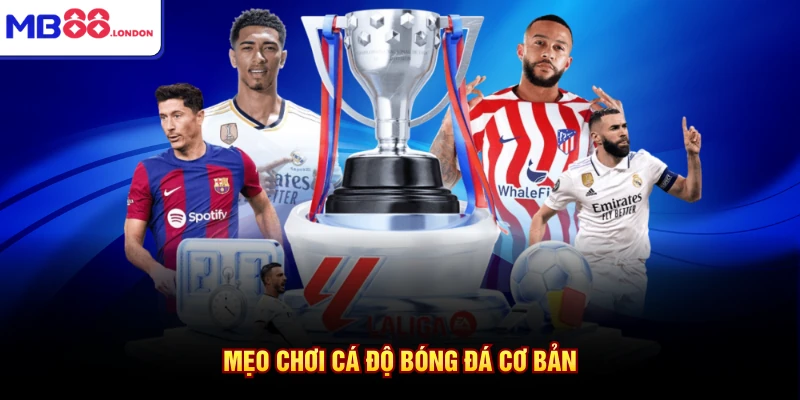 Mẹo Chơi Cá Độ Bóng Đá Chuẩn Xác Nhất Từ MB88 2026 2 Mẹo chơi cá độ bóng đá cơ bản